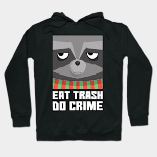 Eat Trash Do Crime | Funny Raccon Hoodie